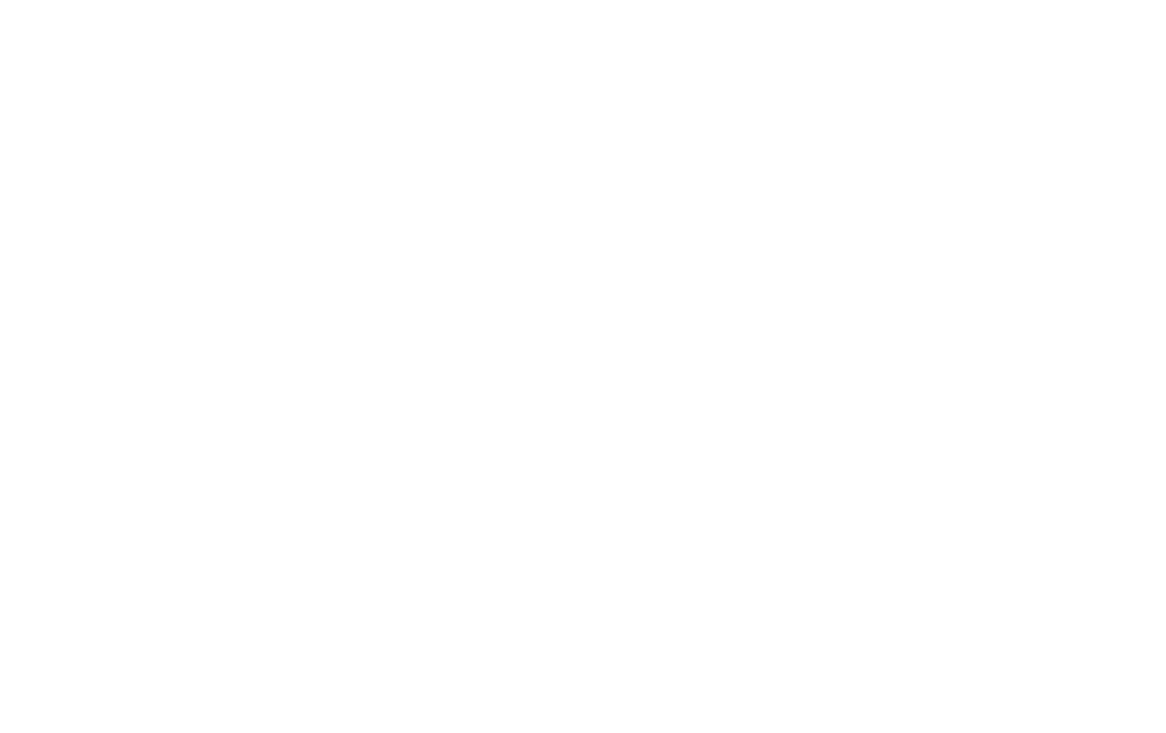 Silver Savage